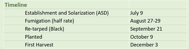Timeline Combining Soil Solarization with Conventional Chemical Fumigants and Anaerobic Soil Disinfestation (ASD) in Florida Strawberry Production