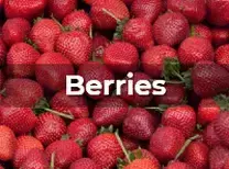 Ag Metrics Group - Berries - strawberries