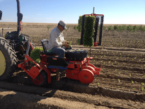 Planting row crops with a carousel transplanter