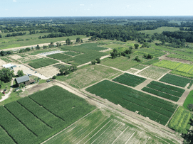 Michigan Ag Research - Agricultural Consulting