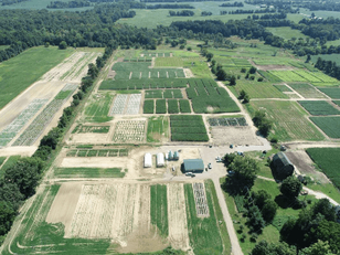 Michigan Ag Research an Ag Metrics Group company located in Albion, MI and Sunfield, MI