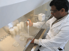Dr. Balaji Aglave performing pathogen plate spread