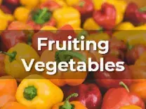 Ag Metrics Group - Fruiting Vegetables - Bell Pepper