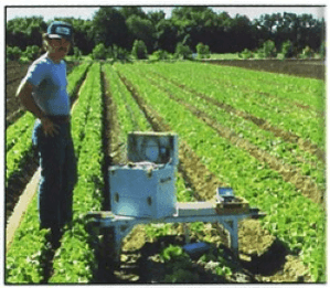 Ag Metrics Group formerly Pacific Ag Group - Frank Sances demonstrates use of porometer in lettuce field, c. 1981