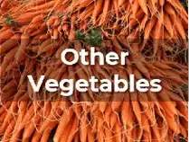Ag Metrics Group - Other Vegetables - carrots