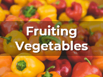 Ag Metrics Group - Fruiting Vegetables - Bell Pepper
