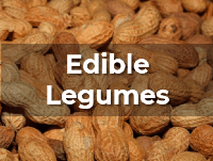 Ag Metrics Group - Forage Crops - peanut
